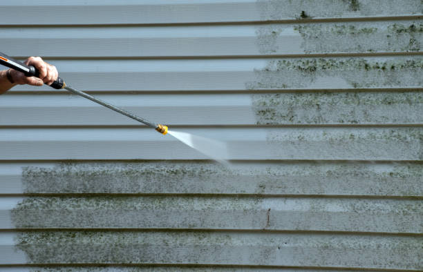 Boat and Dock Cleaning in Willis, TX